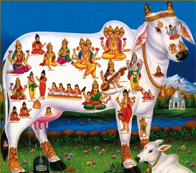 Gho-puja-kamadenu